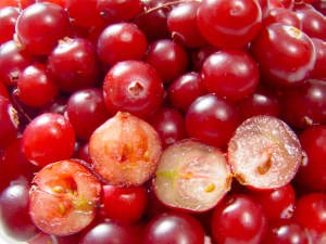 S&uuml;&szlig;e Fr&uuml;chtchen