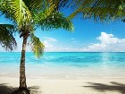 Reise-Quiz