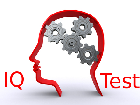 Der kleine IQ-Test